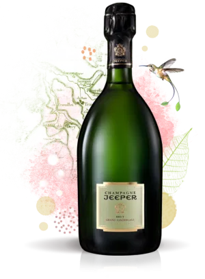 Champagne Jeeper Brut Point Wine Spirits