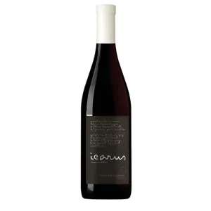 Domaine Du Joncier 2017 Icarus Mourvedre 1.5L Taylors Wines