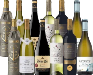 Lynne's Festive Choice - 12 Bottle Mixed Wine Case