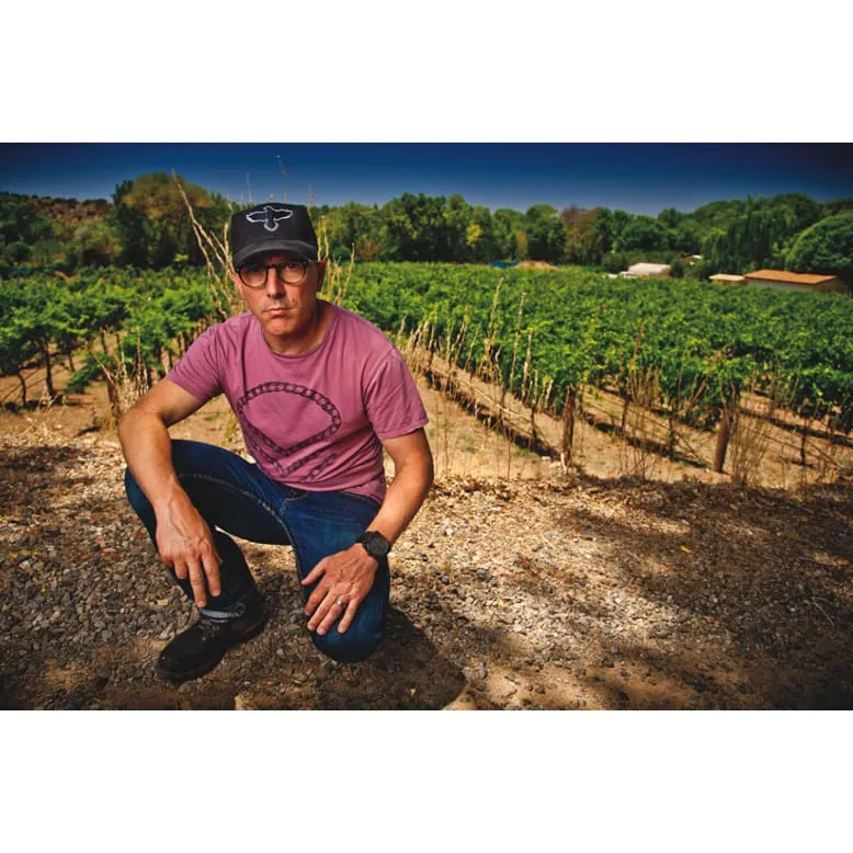 Maynard James Keenan Wines Sampler Pack #1 - Caduceus 6-pack Taylors Wines